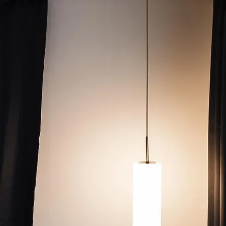 Duplex Zizkov アパート *