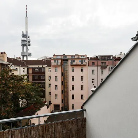 Duplex Zizkov プラハ