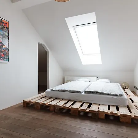 アパート Duplex Zizkov