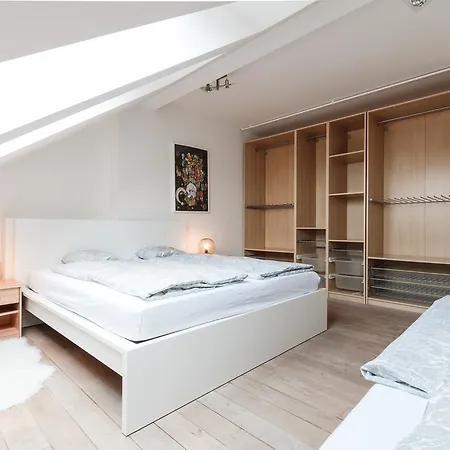 Duplex Zizkov * プラハ