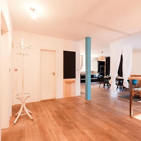 Duplex Zizkov アパート