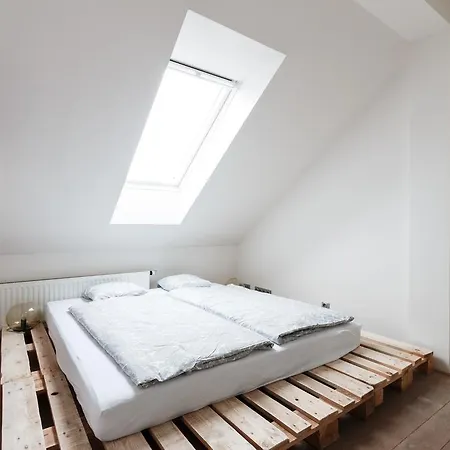 Duplex Zizkov アパート プラハ