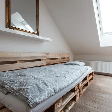 Duplex Zizkov * Praag