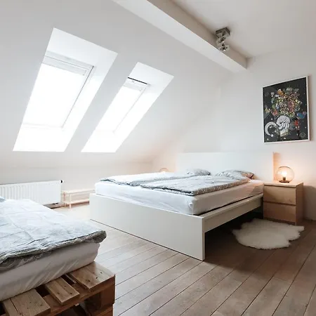 Duplex Zizkov Appartement Praag