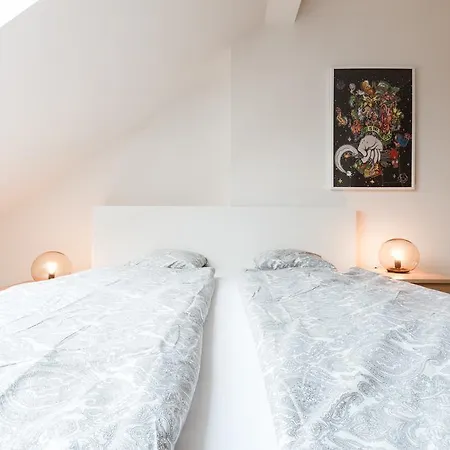 Duplex Zizkov プラハ