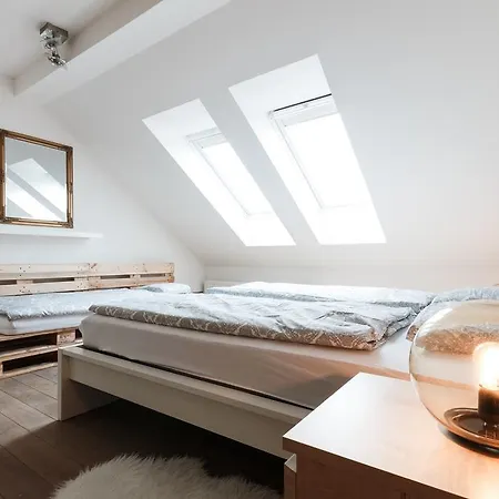 Appartement Duplex Zizkov *